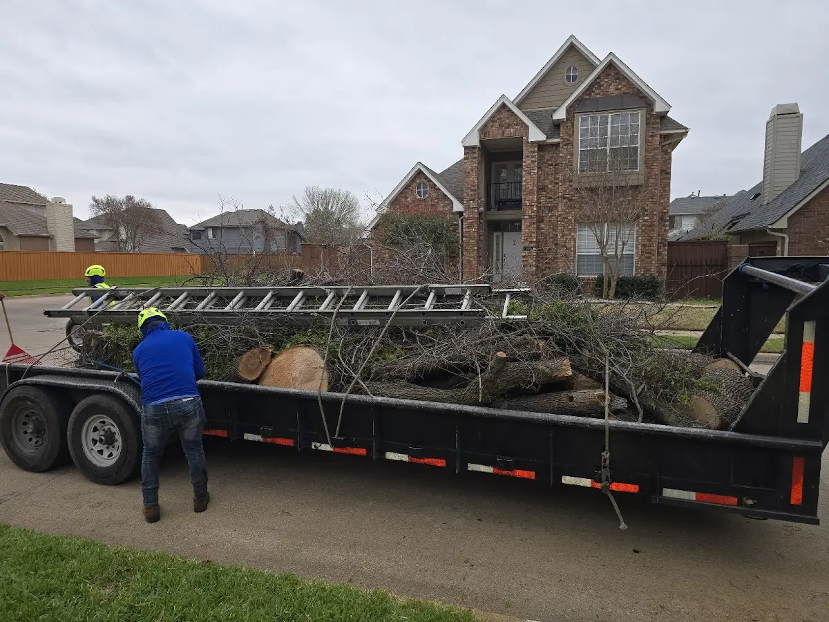 Expert Crown Reduction with proper safety equipment in East Tawas